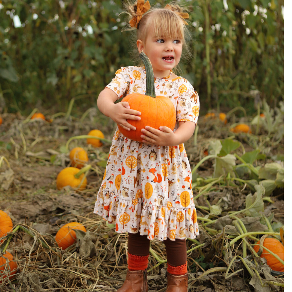 Bamboo Short Sleeve Twirl Dress in Autumn Acres