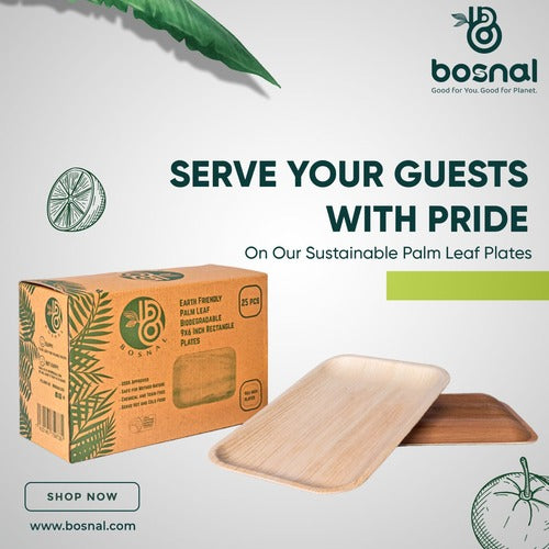 Bosnal - Palm Leaf Biodegradable Plates, 9 x 6 inch Rectangle