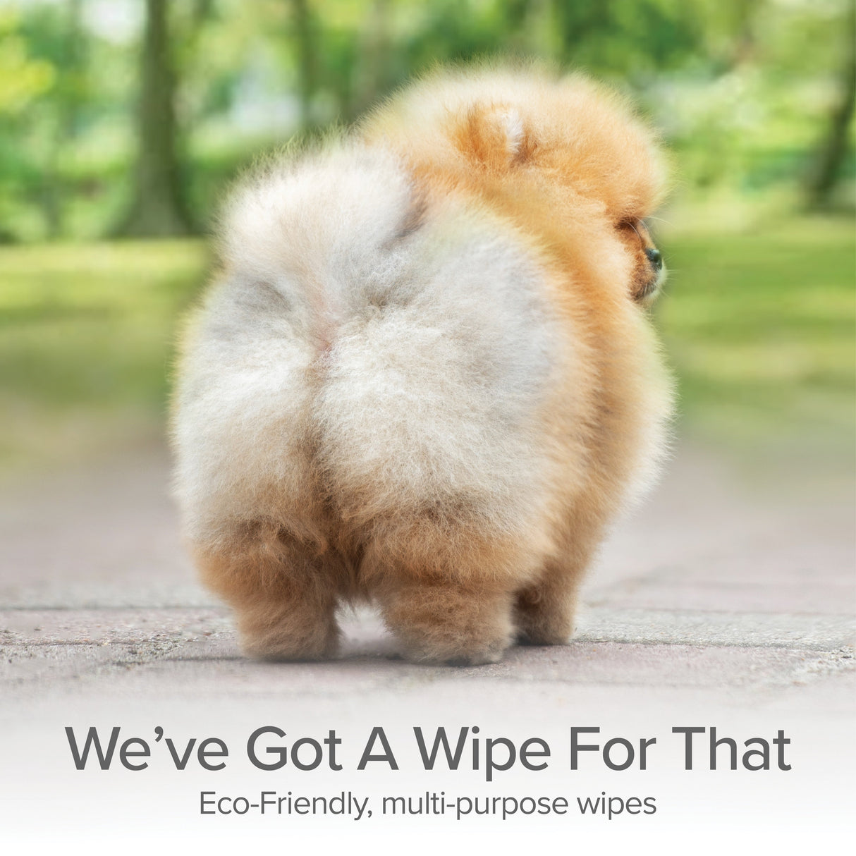 Grooming and Cleansing Wipes (Fragrance-Free)