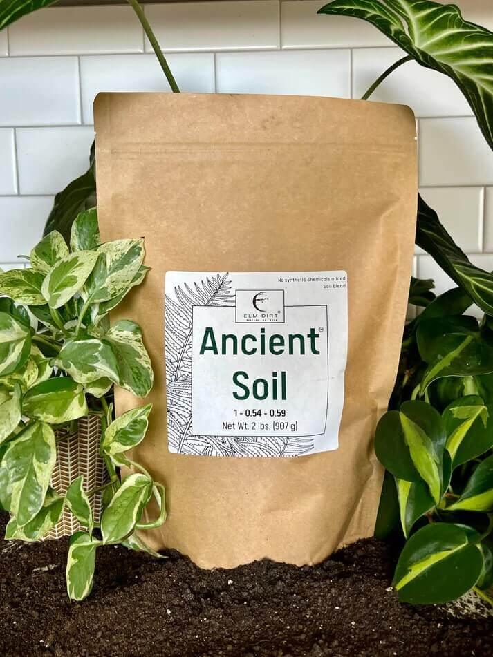 Ancient Soil: Organic Living Soil