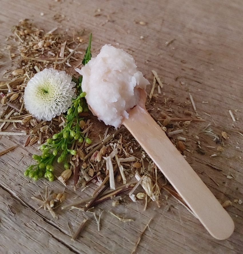 Magnesium Body Cream - "Balance" - Unscented