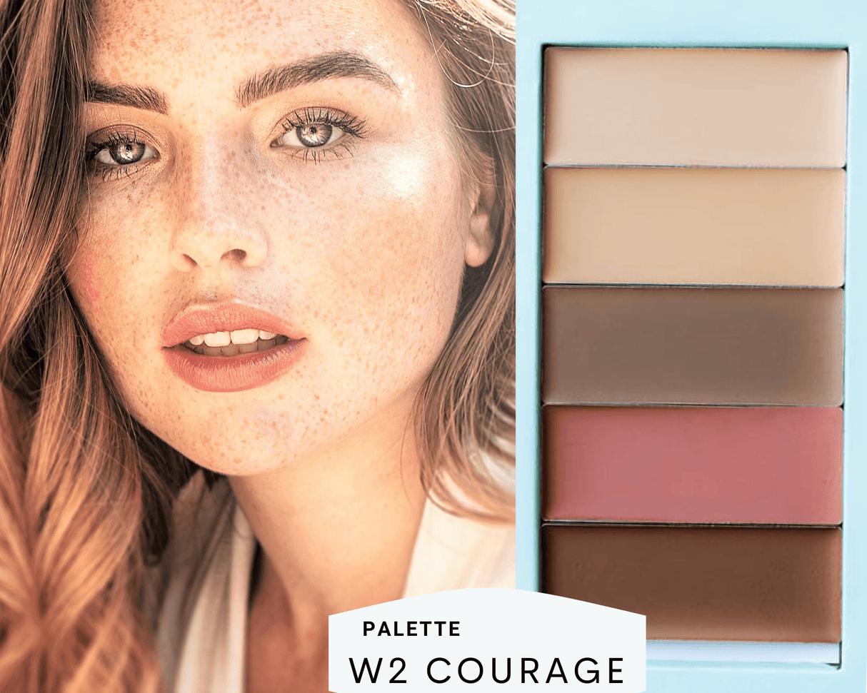 Basic Bundle - Filled Palette + Blender