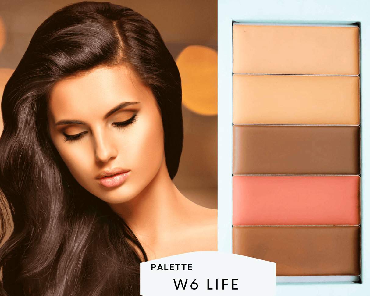 Basic Bundle - Filled Palette + Blender