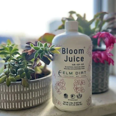 Bloom Juice - Award-Winning Formula