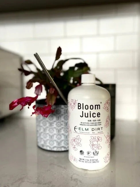 Bloom Juice - Award-Winning Formula
