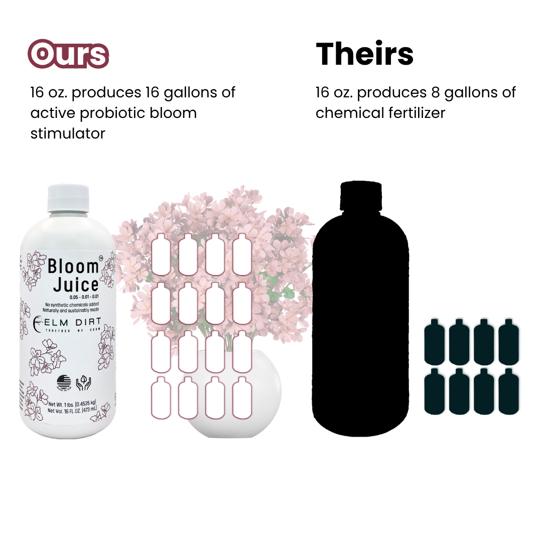 Bloom Juice - Award-Winning Formula