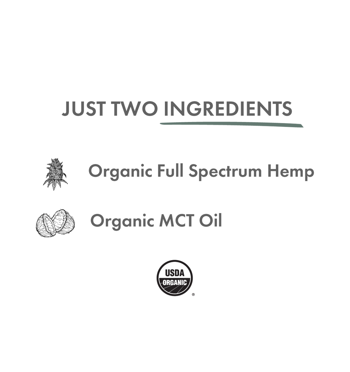 Daily Blend