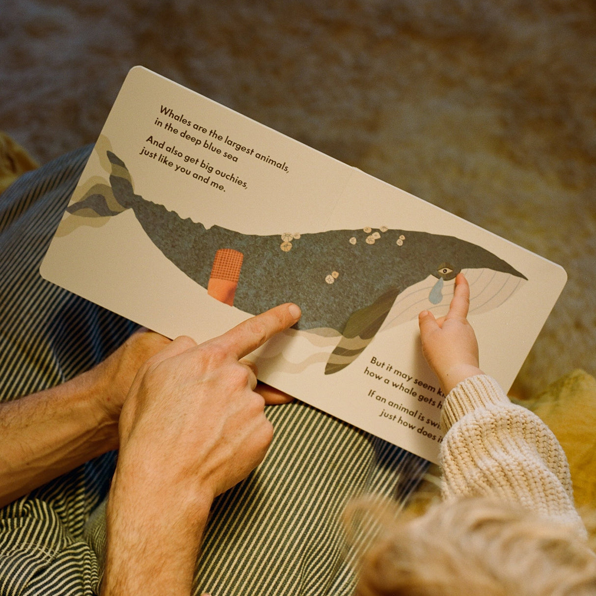 Children’s book - Dr. Animals