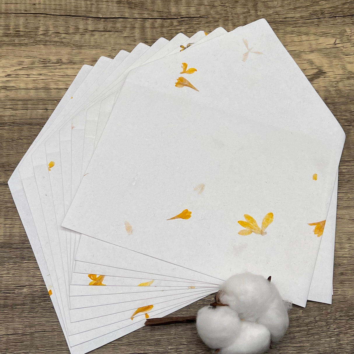 Gaillardia Flower Petal Cotton Paper Envelope Liners – Set of 10