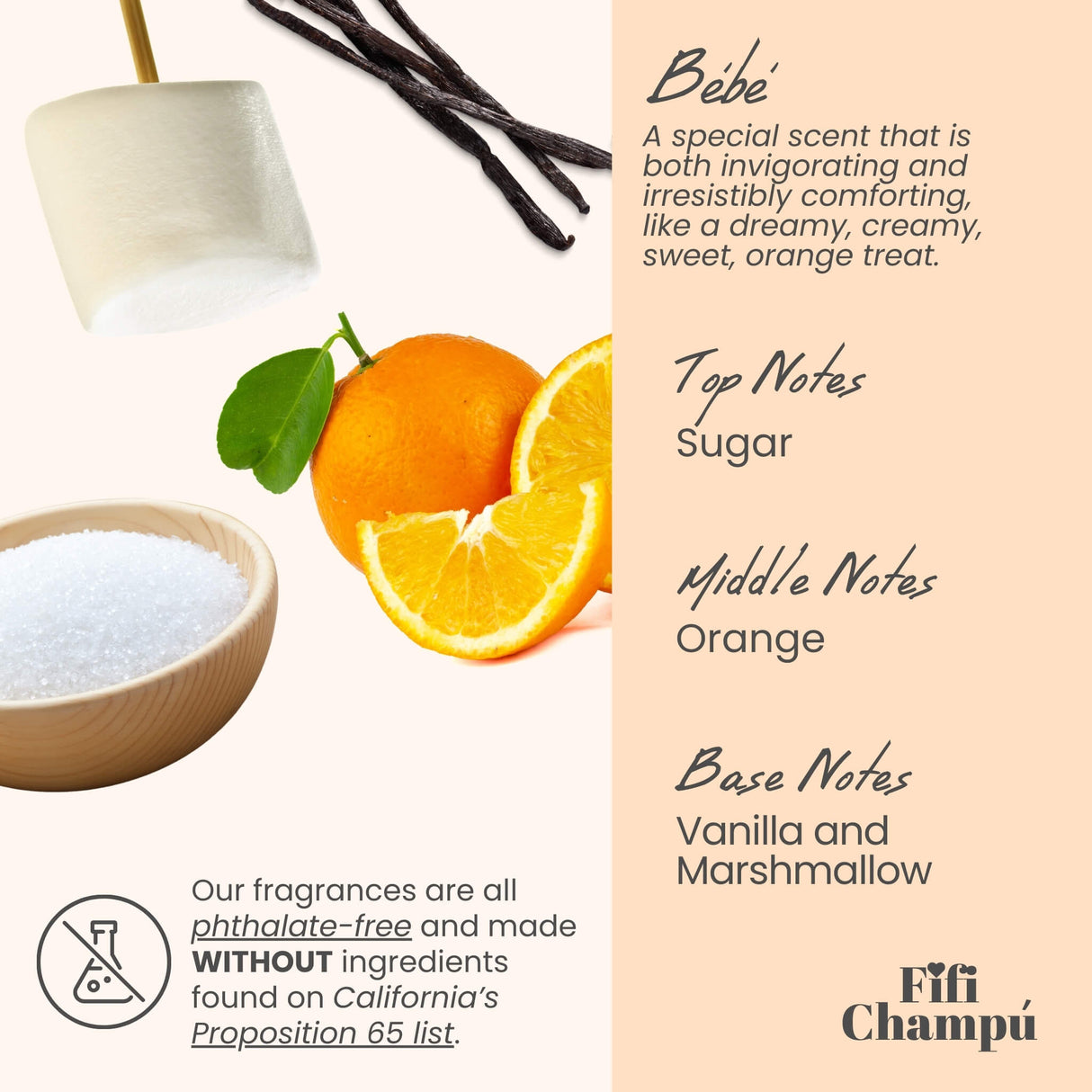 Bébé Shampoo Bar: Gentle, Protein-Rich Care for Sensitive Scalps and Fine Hair