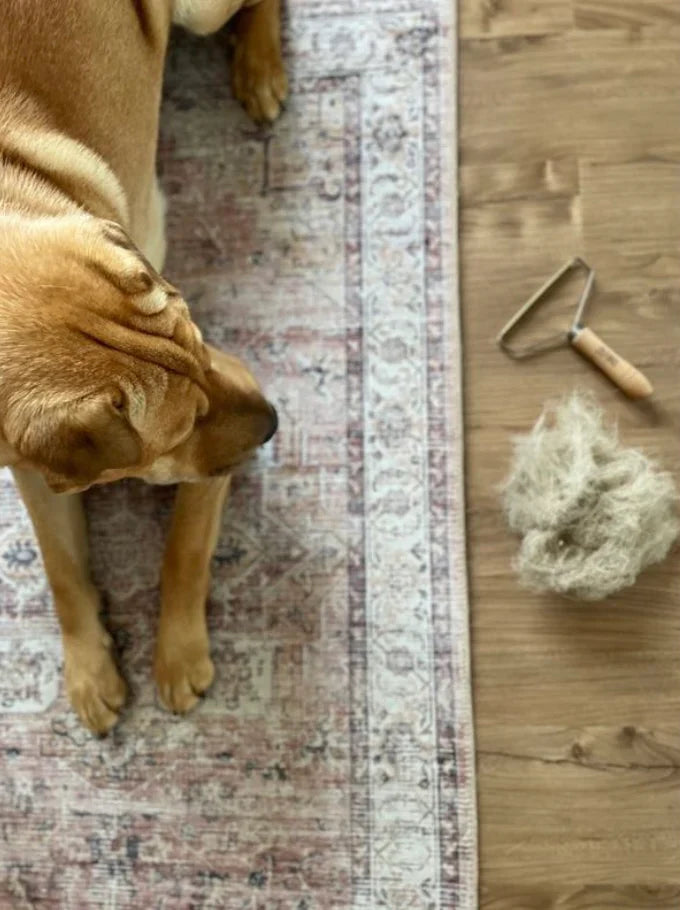 Lint Remover - Reusable