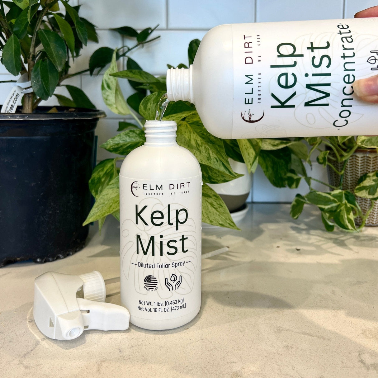 Kelp Mist - Organic Foliar Spray Seaweed Fertilizer