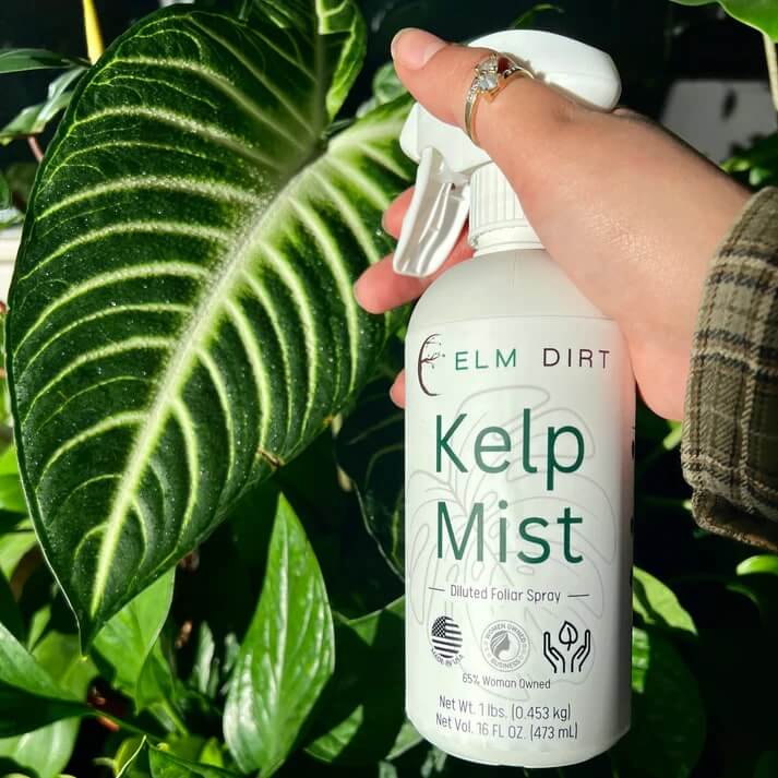 Kelp Mist - Organic Foliar Spray Seaweed Fertilizer