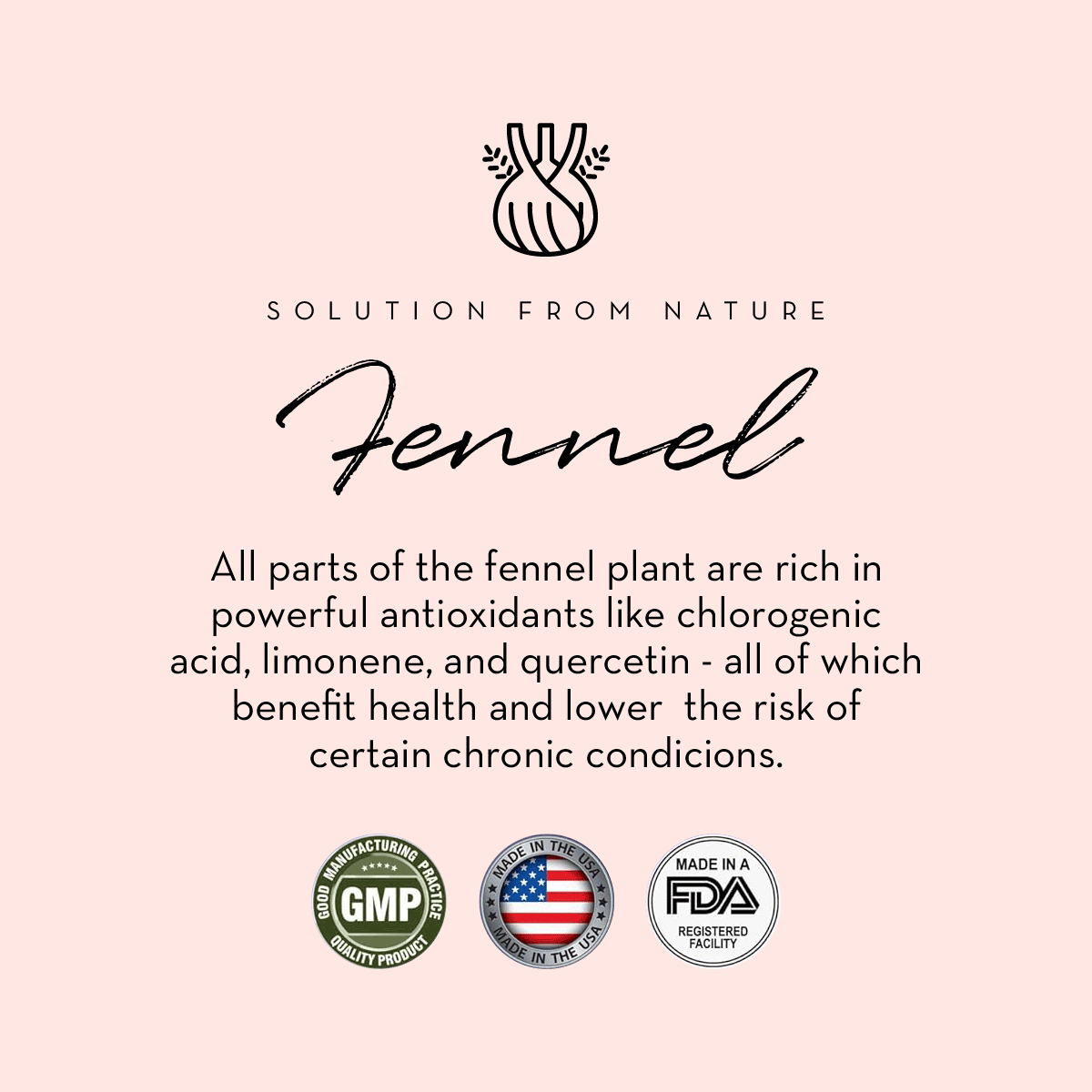 Breastfeeding Bundle - Breastfeeding Tea + Lactation Support