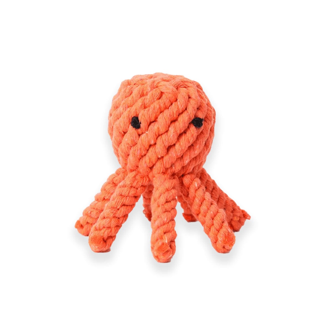 Octopus
