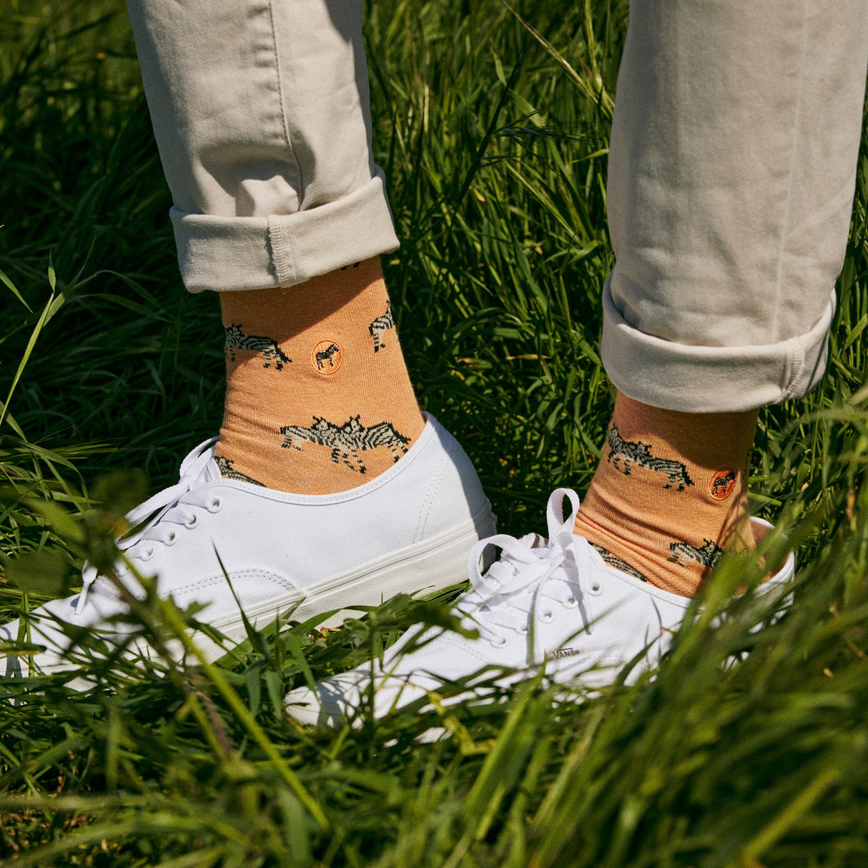 Socks that Protect Zebras