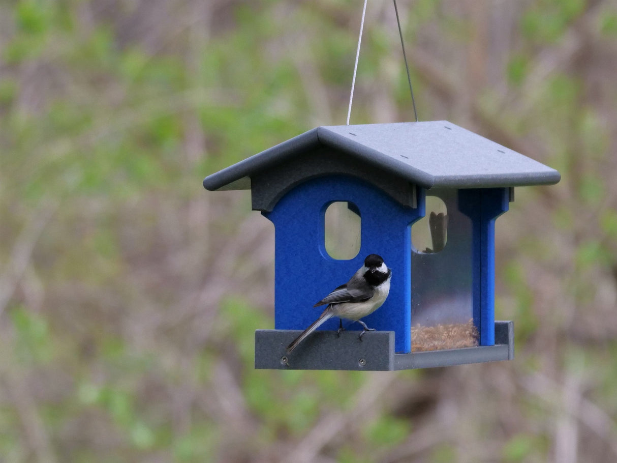 Amish-Made Bluebird Feeder, Made With Poly Lumber, For Feeding Mealworms