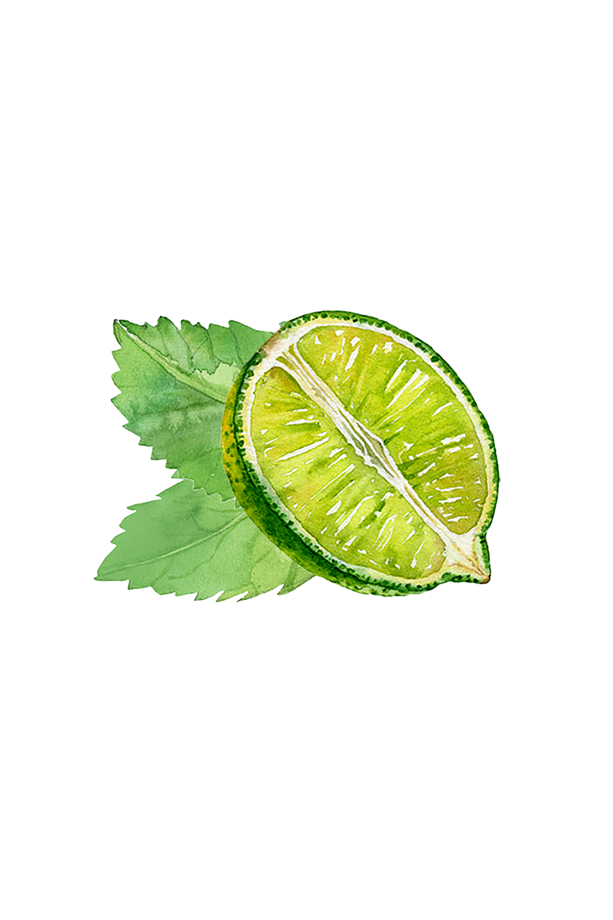 Mint & Lime Essential Oil Blend