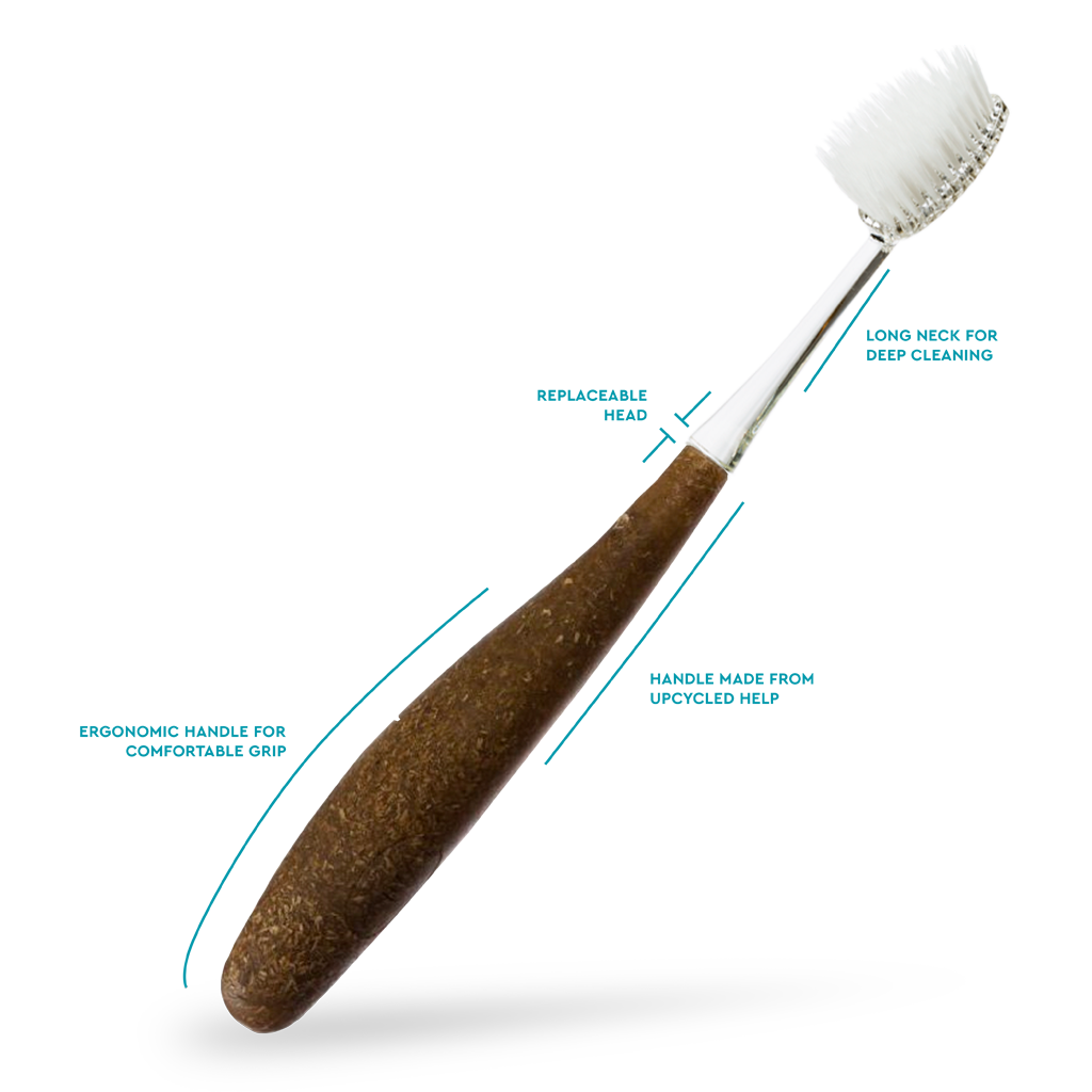 Source™ Brush