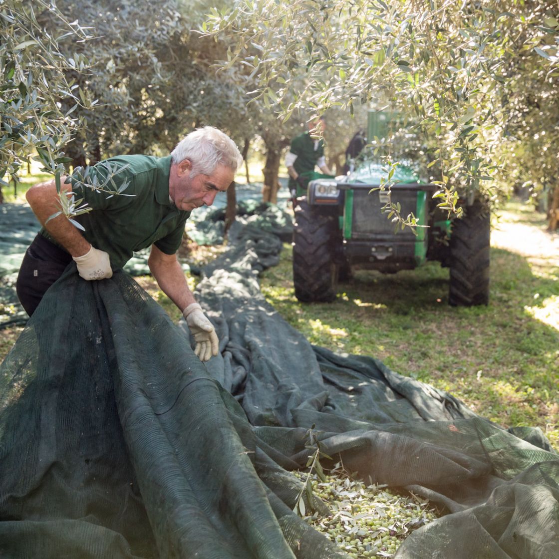 Mini Extra Virgin Olive Oil