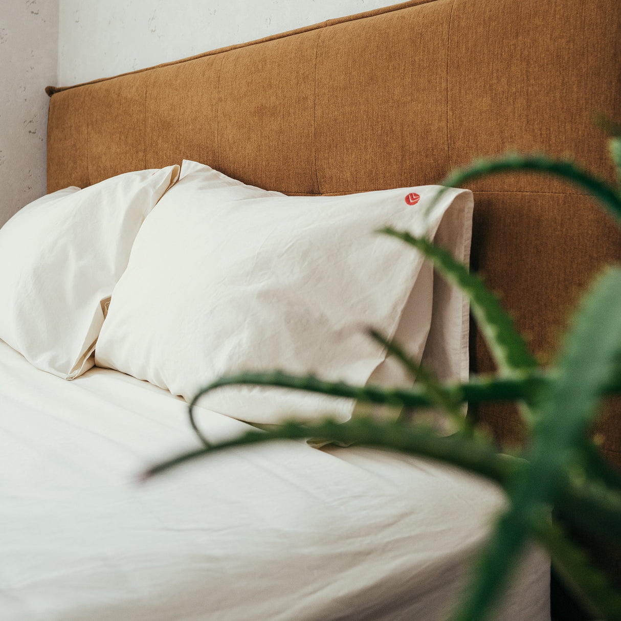 Organic Fitted Sheet