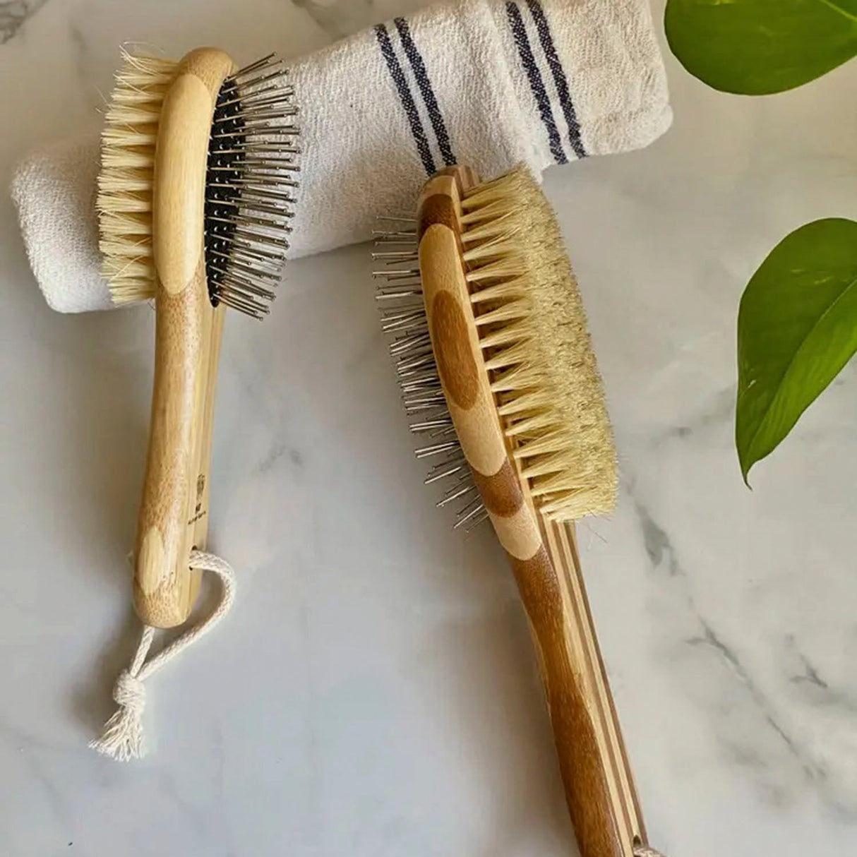 Bamboo Pet Brushes