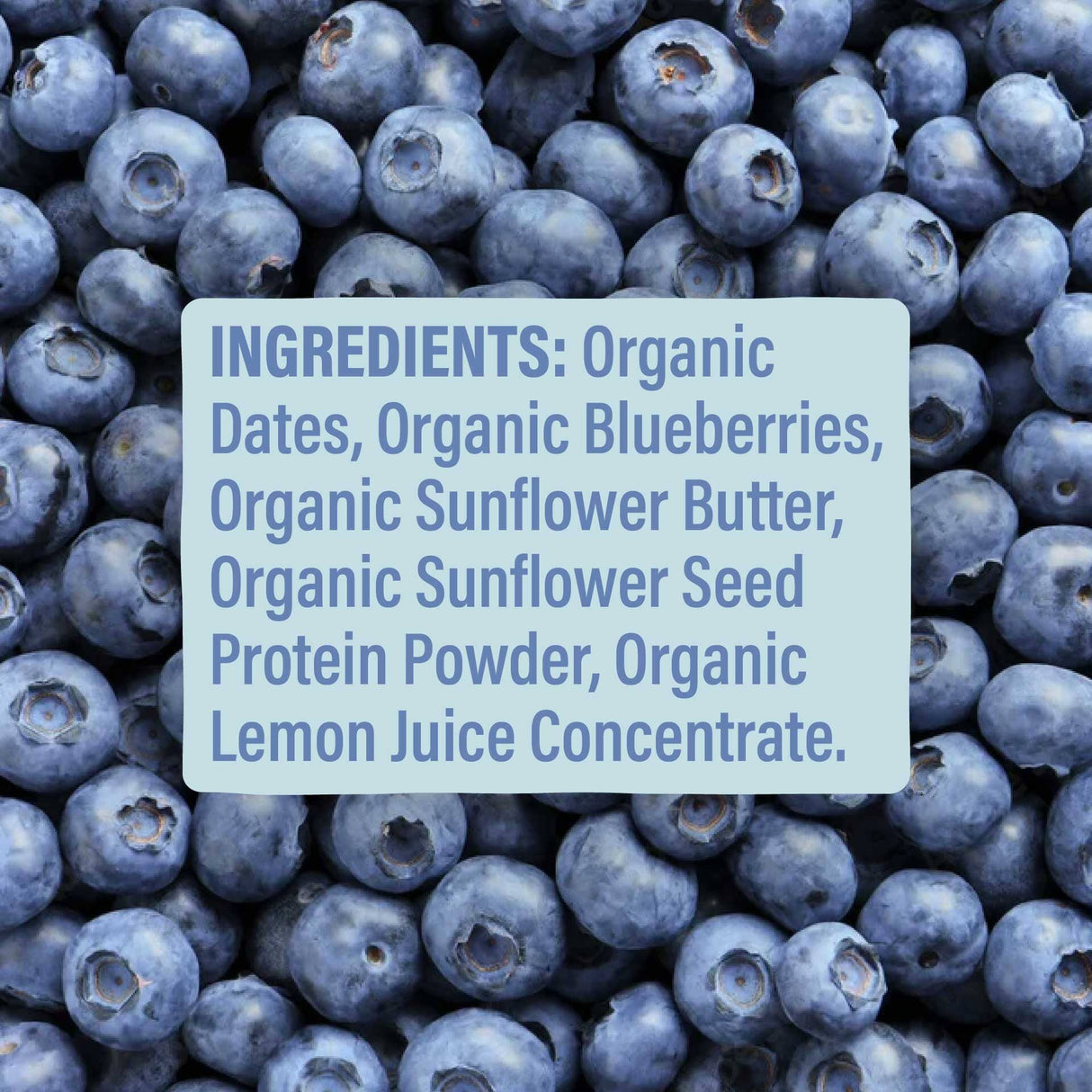 Skout Organic Blueberry Blast Kids Bar