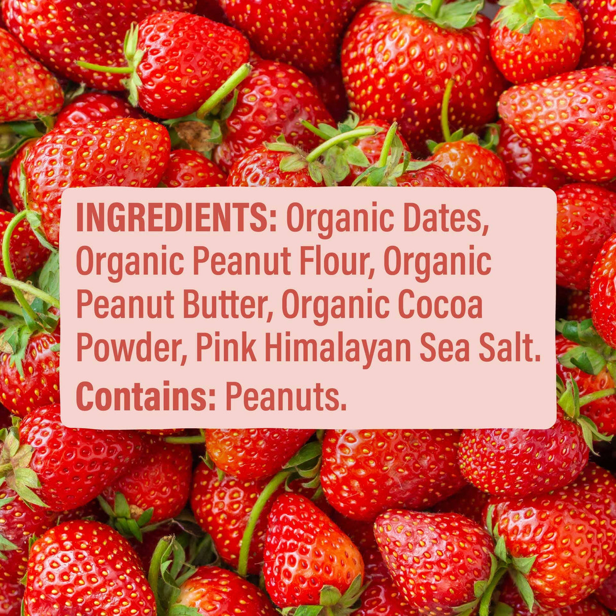 Skout Organic Peanut Butter & Jelly Kids Bar