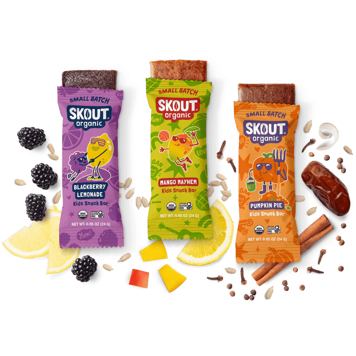 Skout Organic Small Batch Kids Bar Bundle