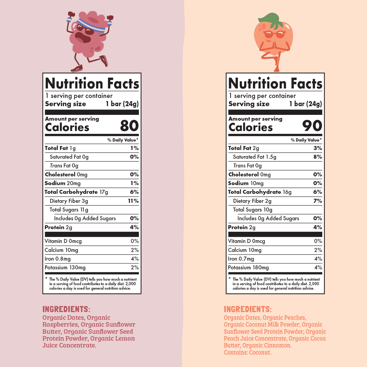 Skout Organic Small Batch Kids Fruit Bar Variety Pack