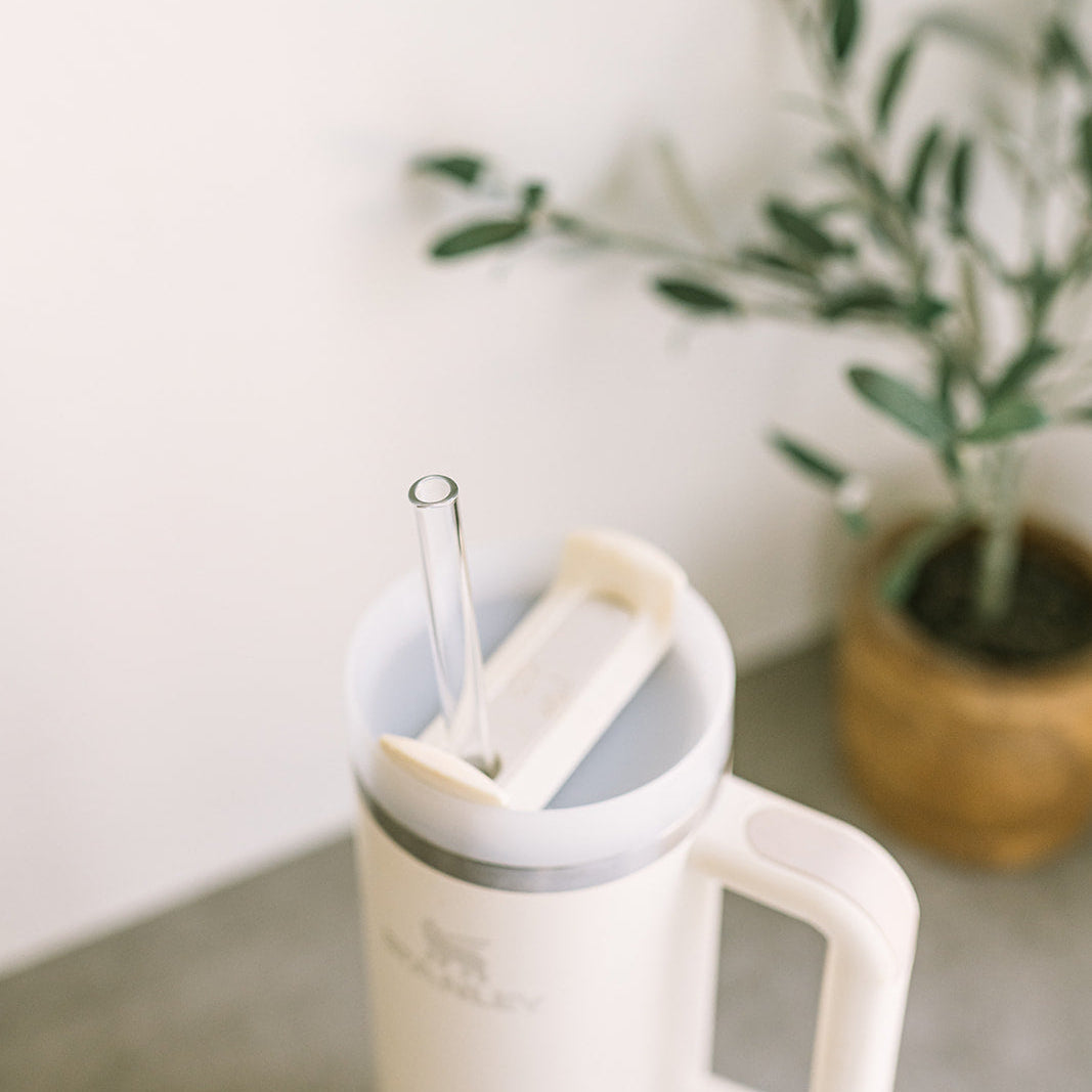 Tumbler 12" Glass Straw Set - Air
