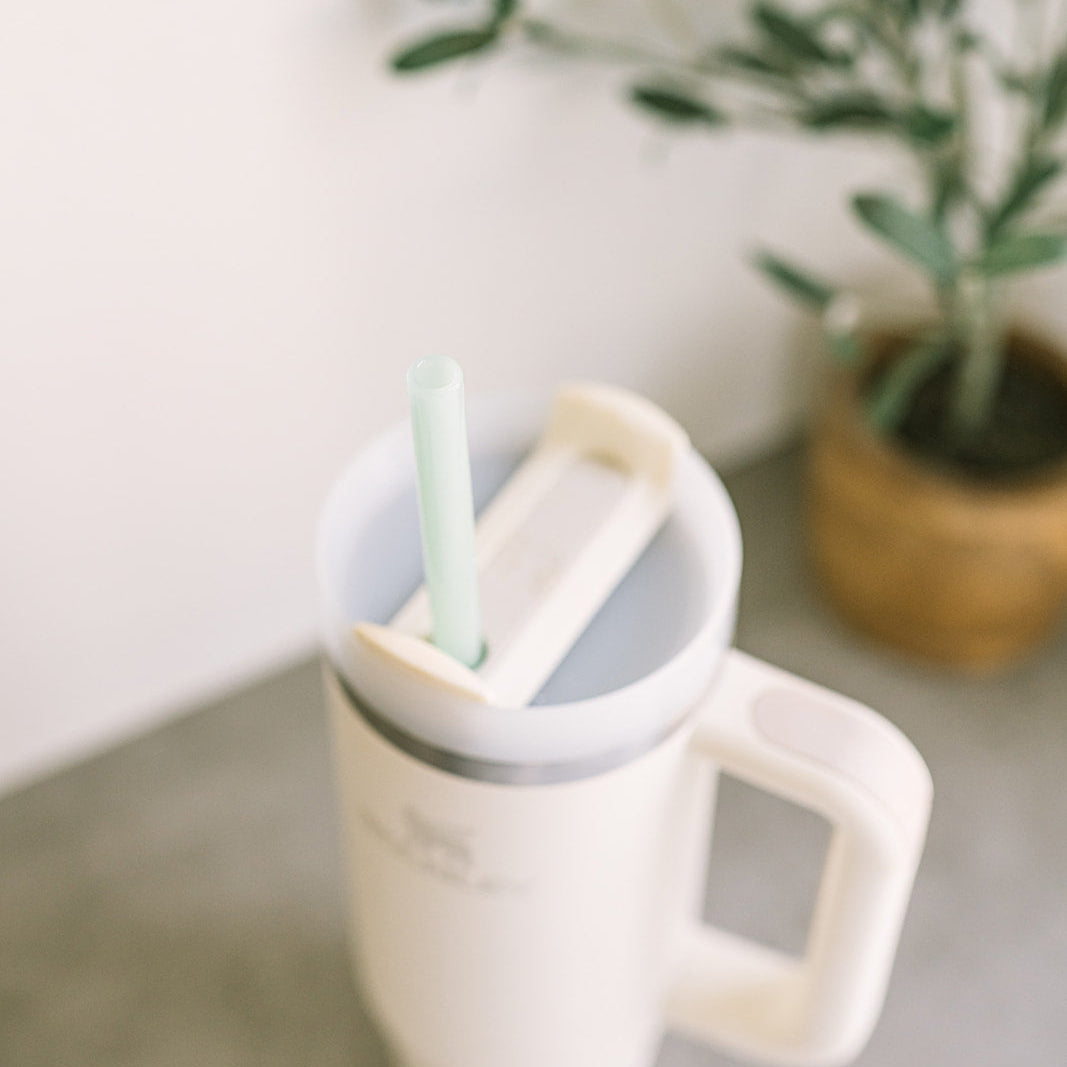 Tumbler 12" Glass Straw Set - Fjord Mist