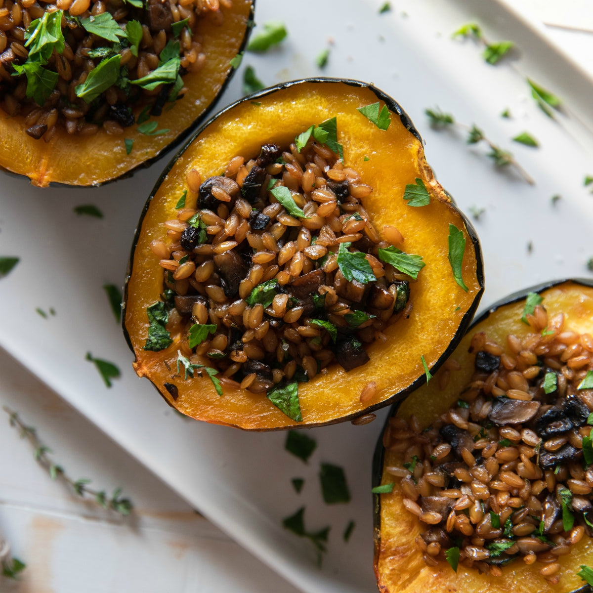 Organic Einkorn Wheat Berries 10 lb.