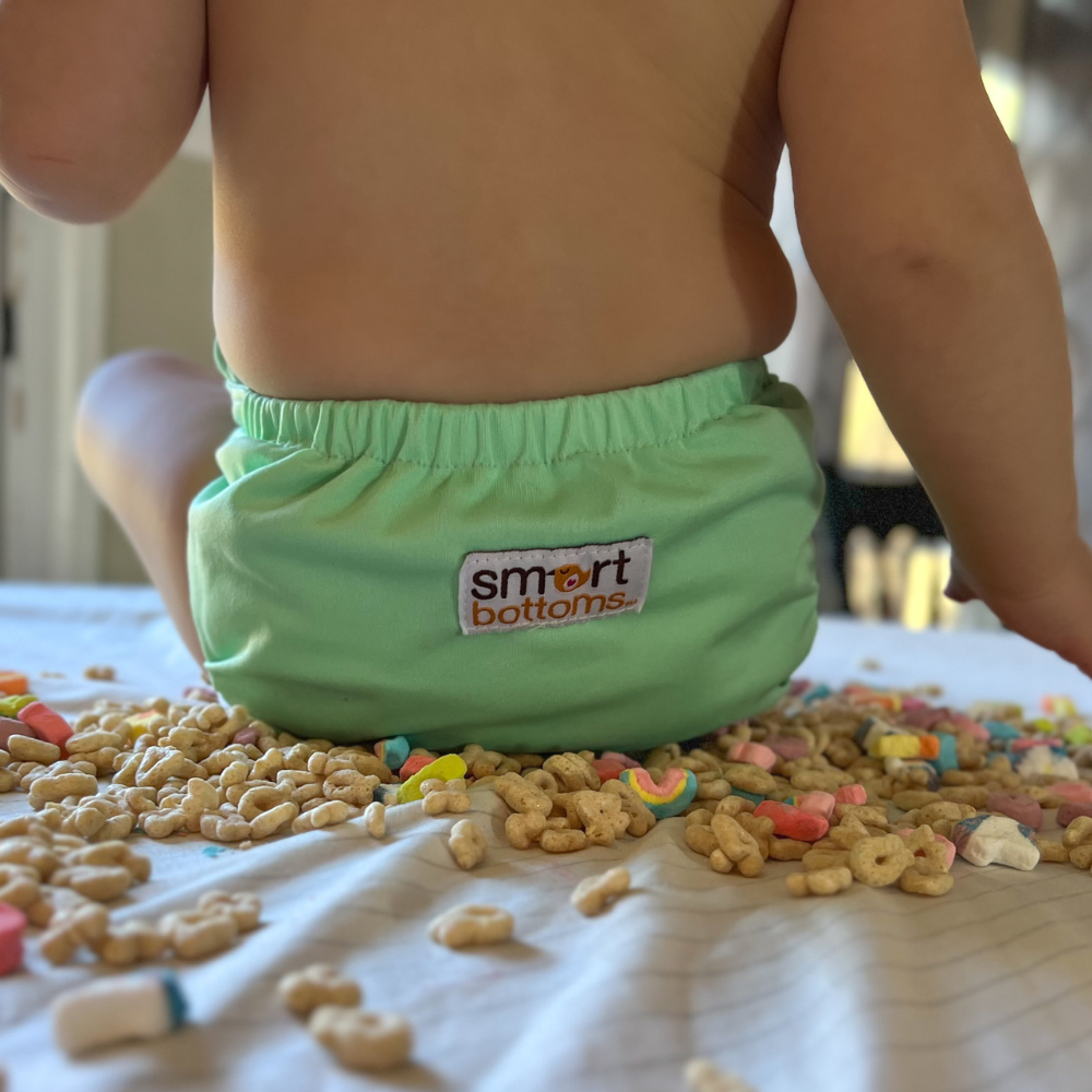 Smart One 3.1 Cloth Diaper - Dublin