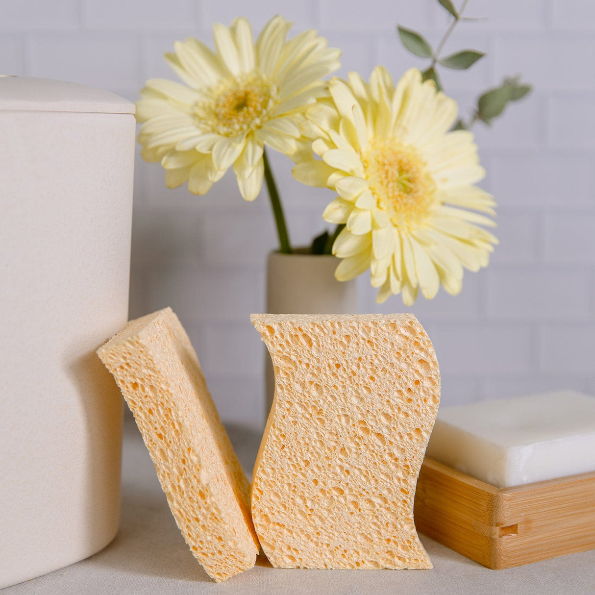 Cellulose Kitchen Sponges