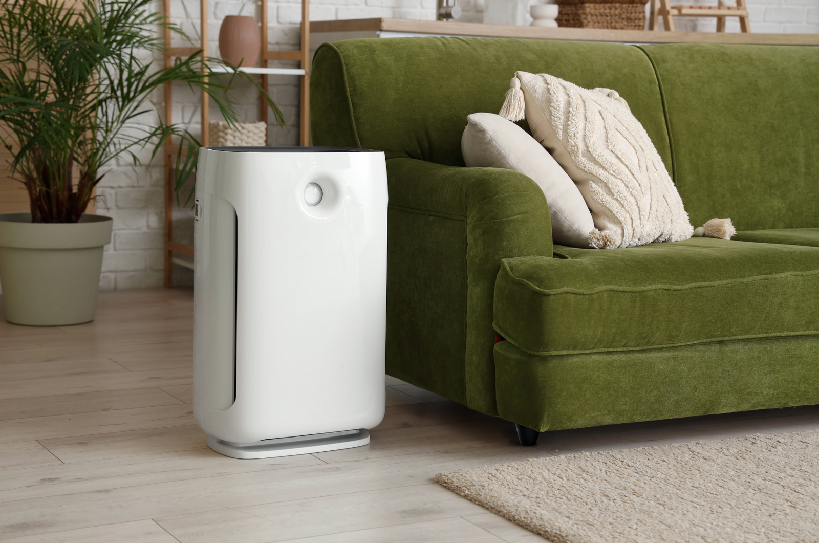 Clean Air, Clean Living: Why an Air Purifier is Essential for a Toxic- Free Lifestyle