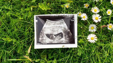 Pregnancy, Clean Beauty and Bare Feet on the Grass — Life at 7 Months