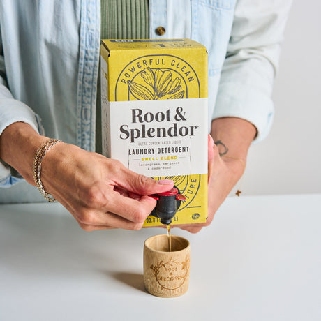 ROOT and SPLENDOR