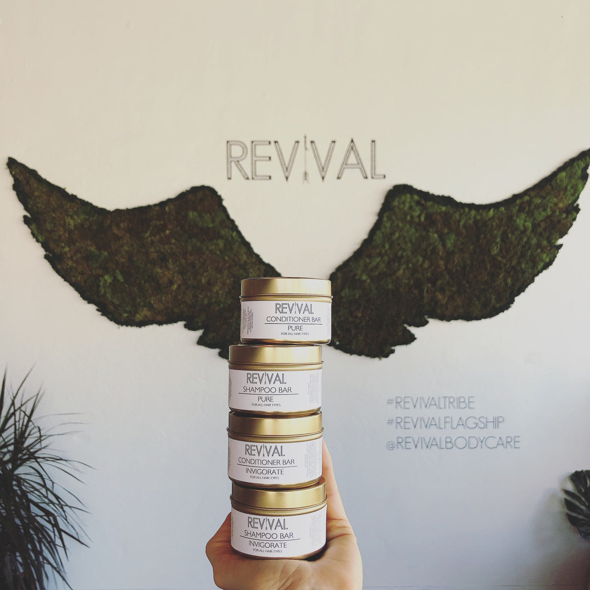 SHAMPOO + CONDITIONER BARS