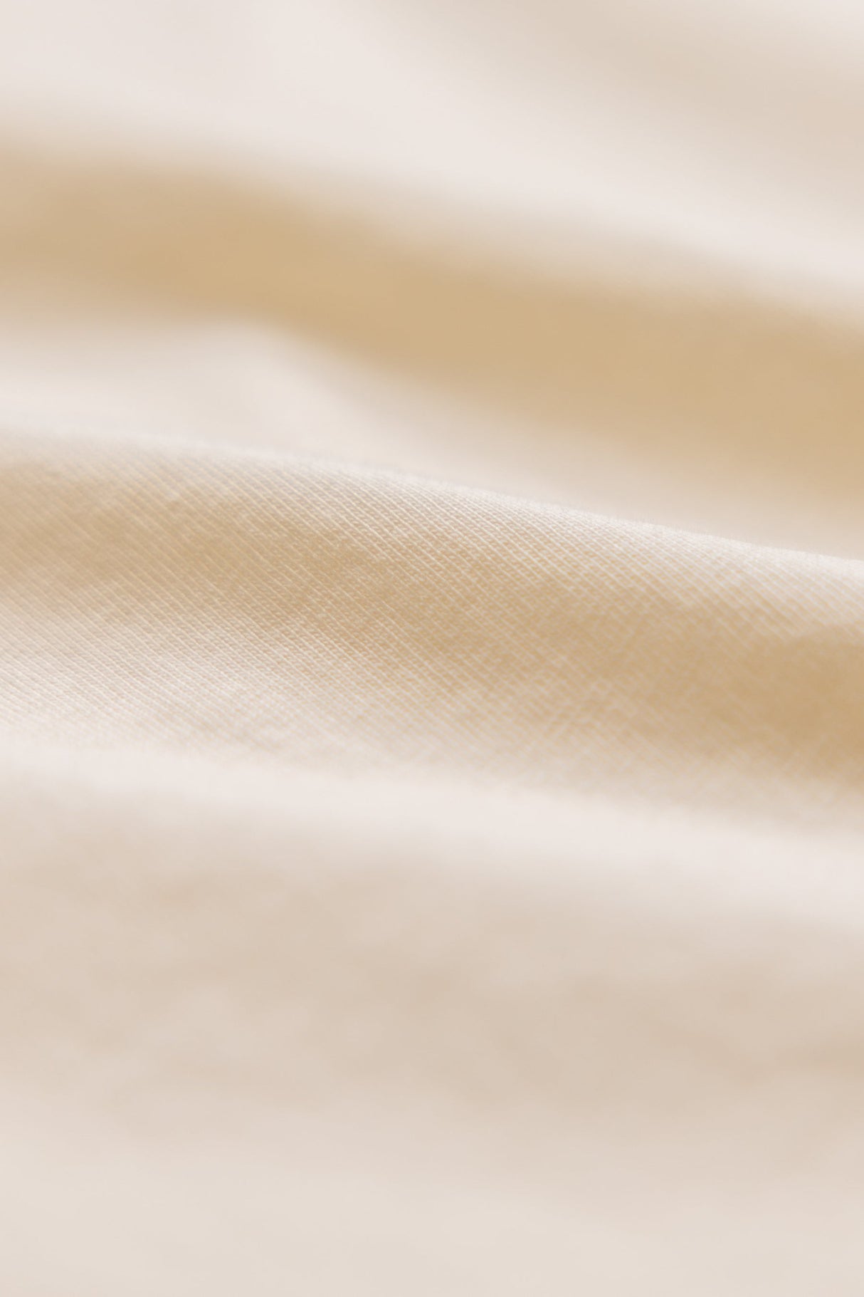 Men's Organic Cotton T-Shirt