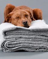 100% Organic Cotton Bath Towels Collection