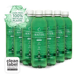 Chlorophyll Water® (Case of 12): Purified Mountain Spring Water with Essential Vitamins