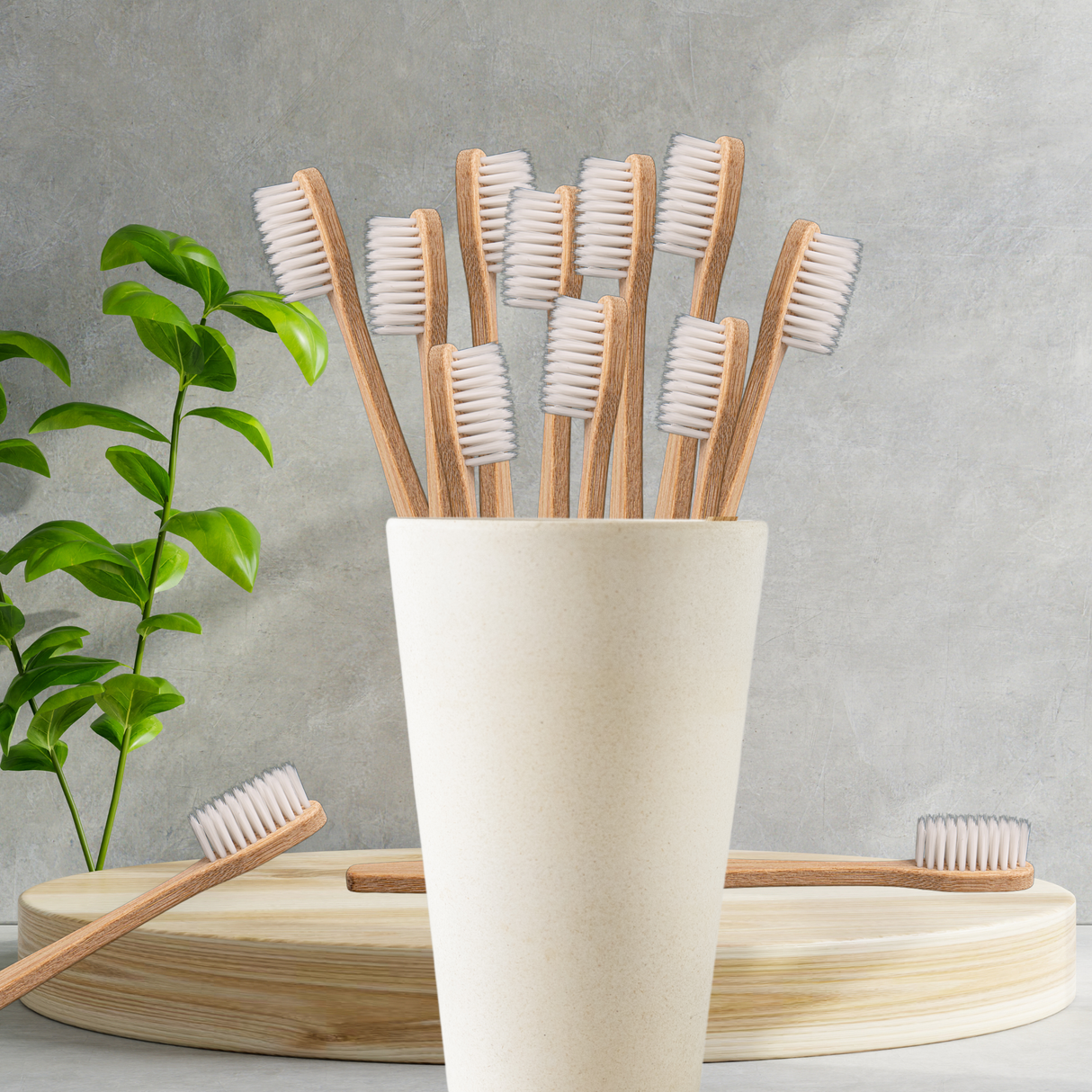 Adult Bamboo Toothbrush Bundles