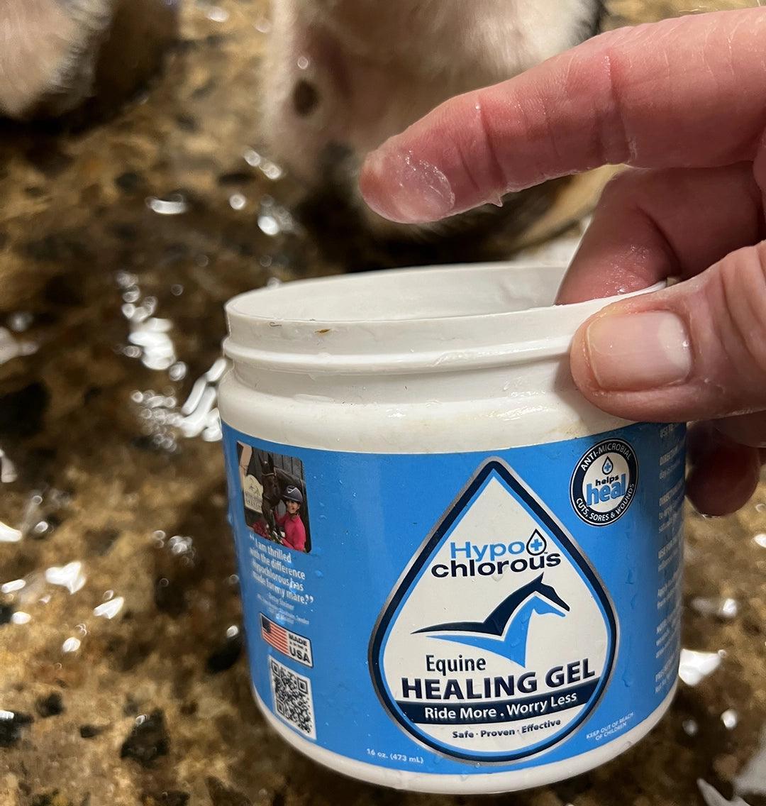 16oz Equine Healing Gel