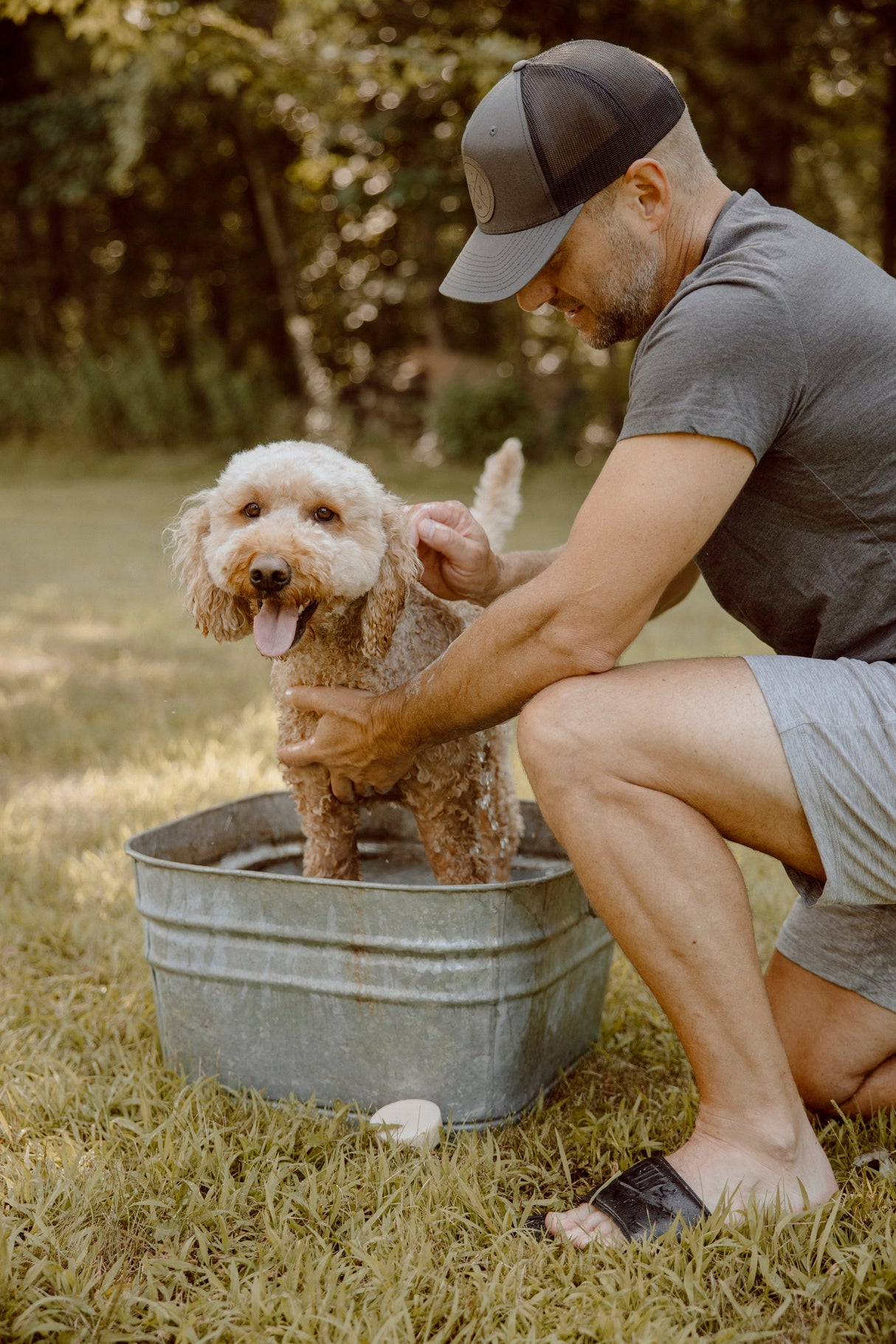 Colloidal Oatmeal Dog Shampoo Bar