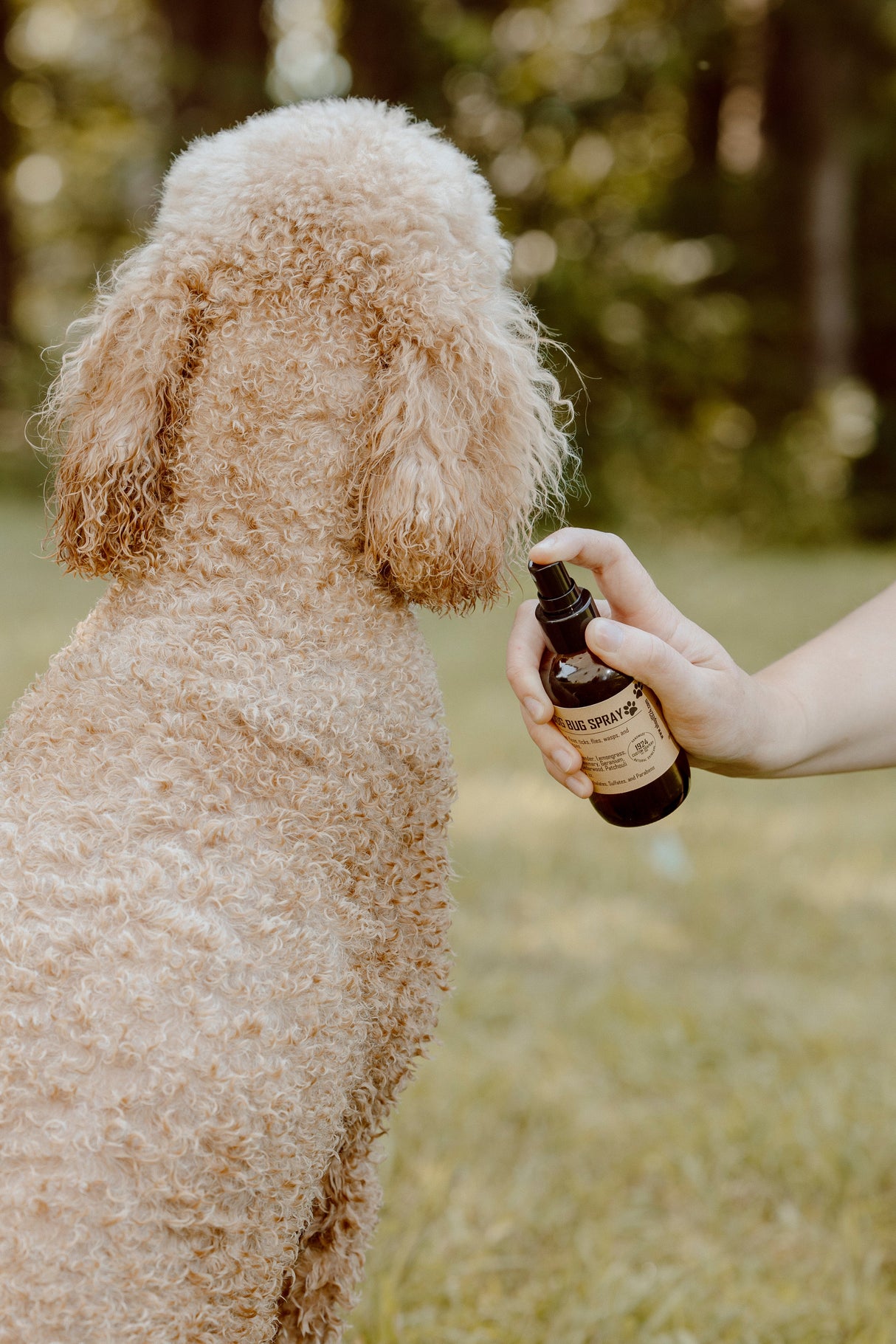 Dog Bug Spray