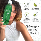 Chlorophyll Water® (Case of 12): Purified Mountain Spring Water with Essential Vitamins