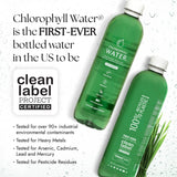 Chlorophyll Water® (Case of 12): Purified Mountain Spring Water with Essential Vitamins