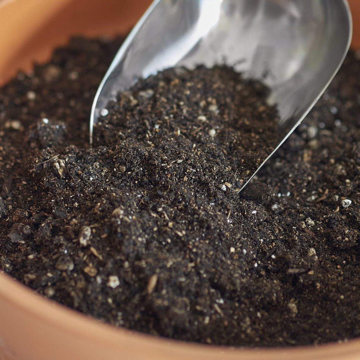 Indoor Plant Potting Soil