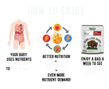 Carnivore Variety Pack - Meat & Salt